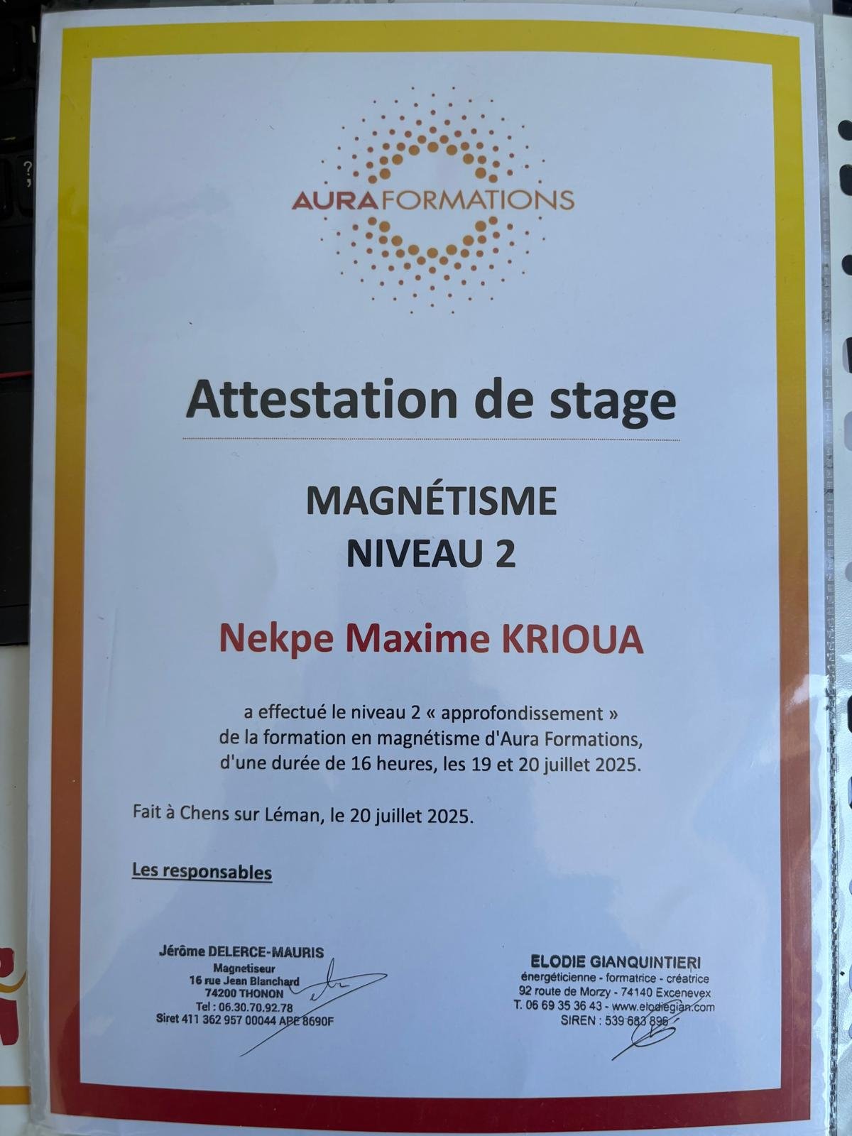 Diplôme 1